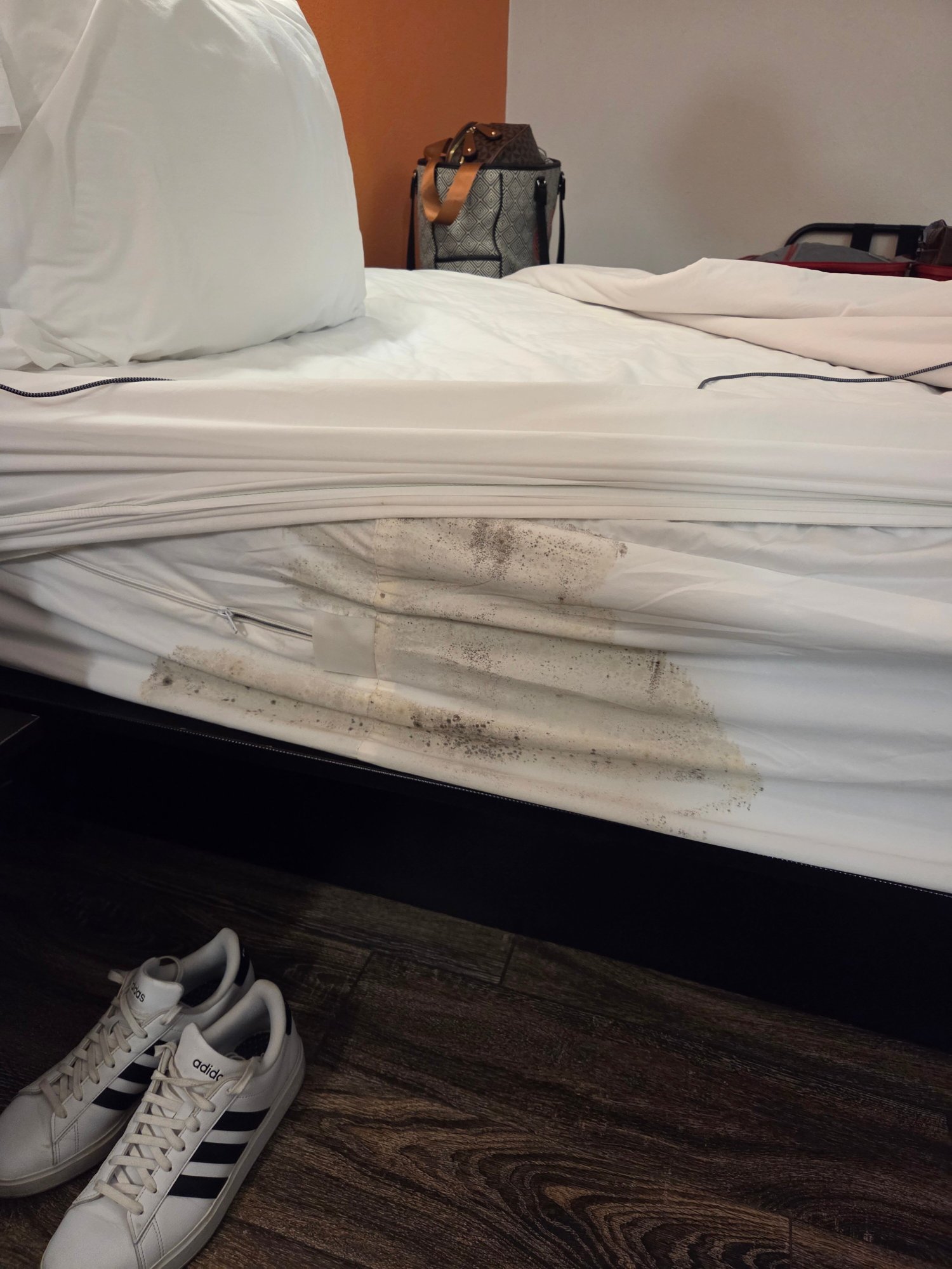 Motel 6 Staunton-客卧