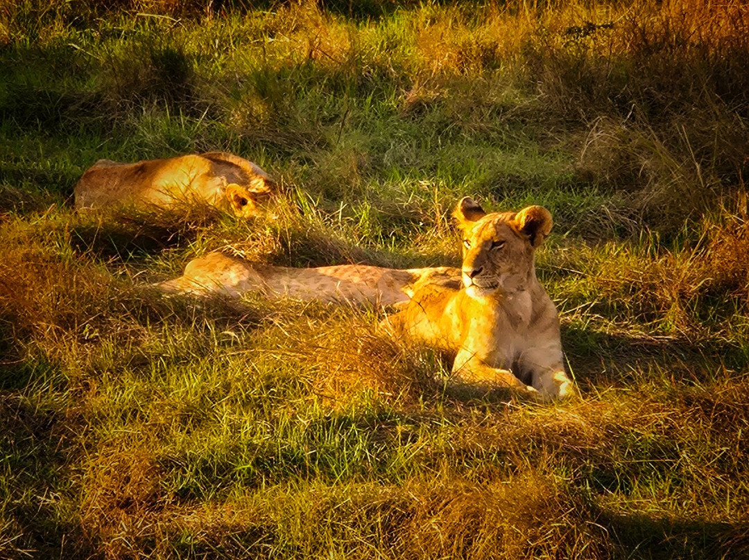 Shanjoy Tours and Safaris-Kikuyu必去景点