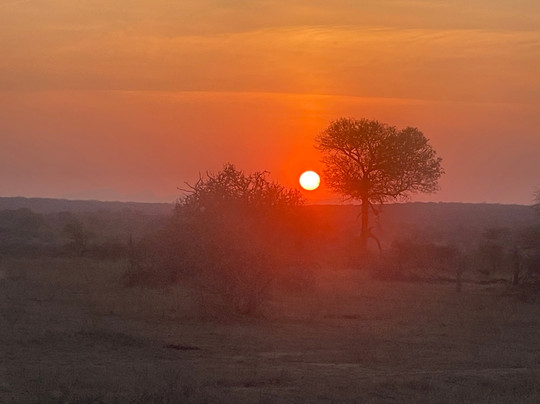 Anywhere in Africa Safaris-开普敦中心区必去景点