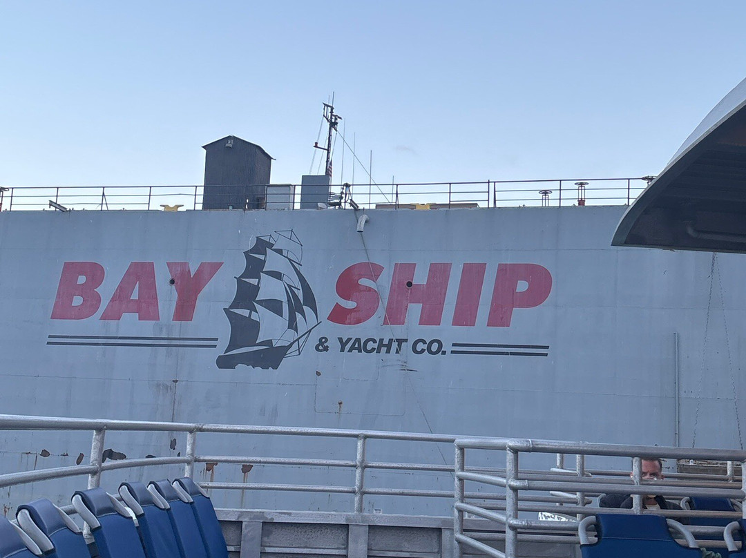 Port View Park-奥克兰必去景点