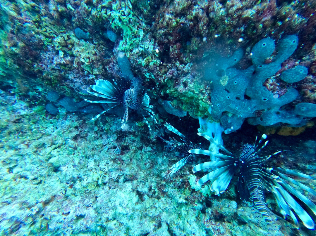 Porto Heli Scuba Club-Porto Heli必去景点