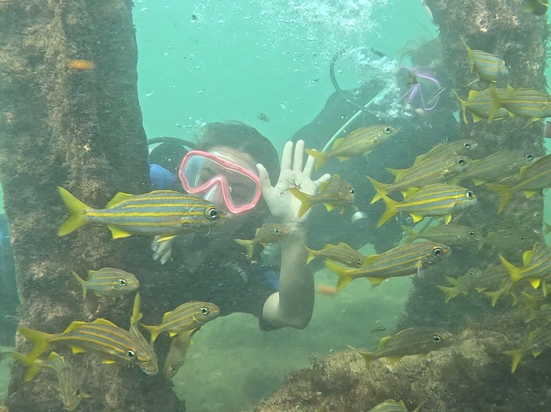 Noronhei-费尔南多-迪诺罗尼亚群岛必去景点