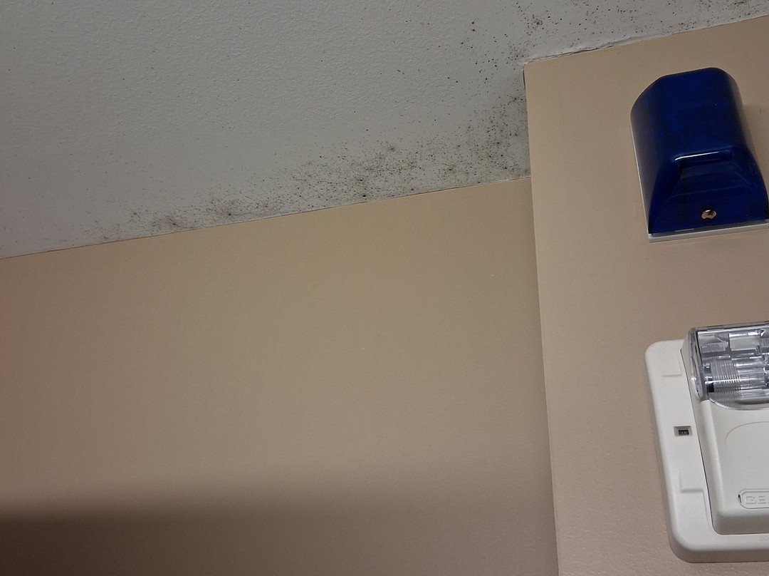 Microtel Inn & Suites by Wyndham Cambridge主图