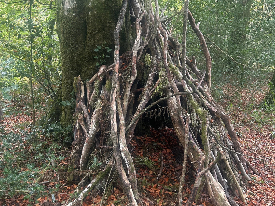 Forage Pembrokeshire-哈弗福韦斯特必去景点