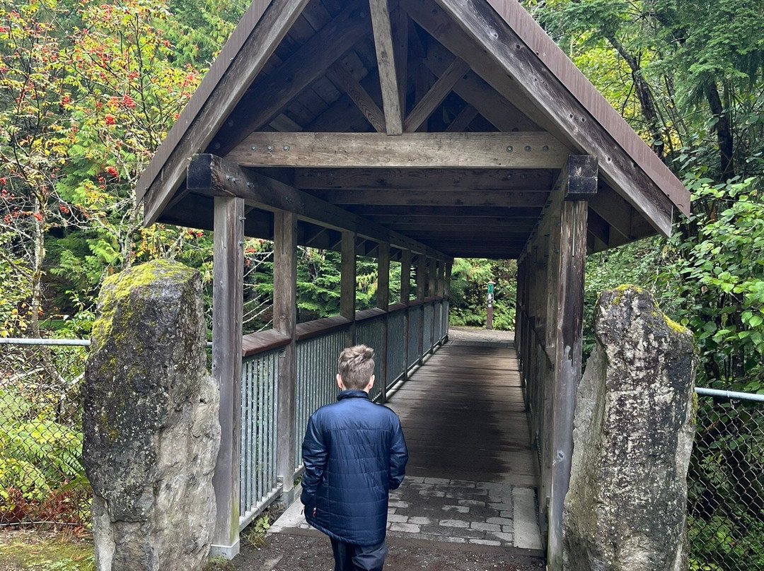 Brandywine Falls Provincial Park-惠斯勒必去景点