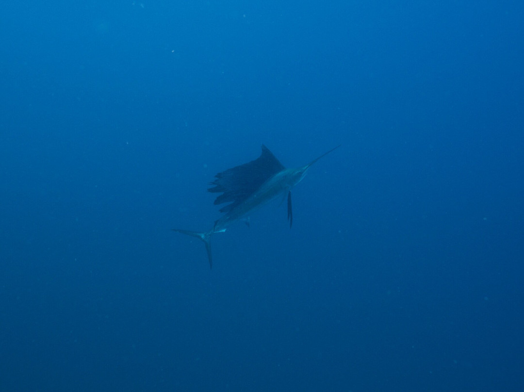 Océane's Dream-Ambatoloaka必去景点