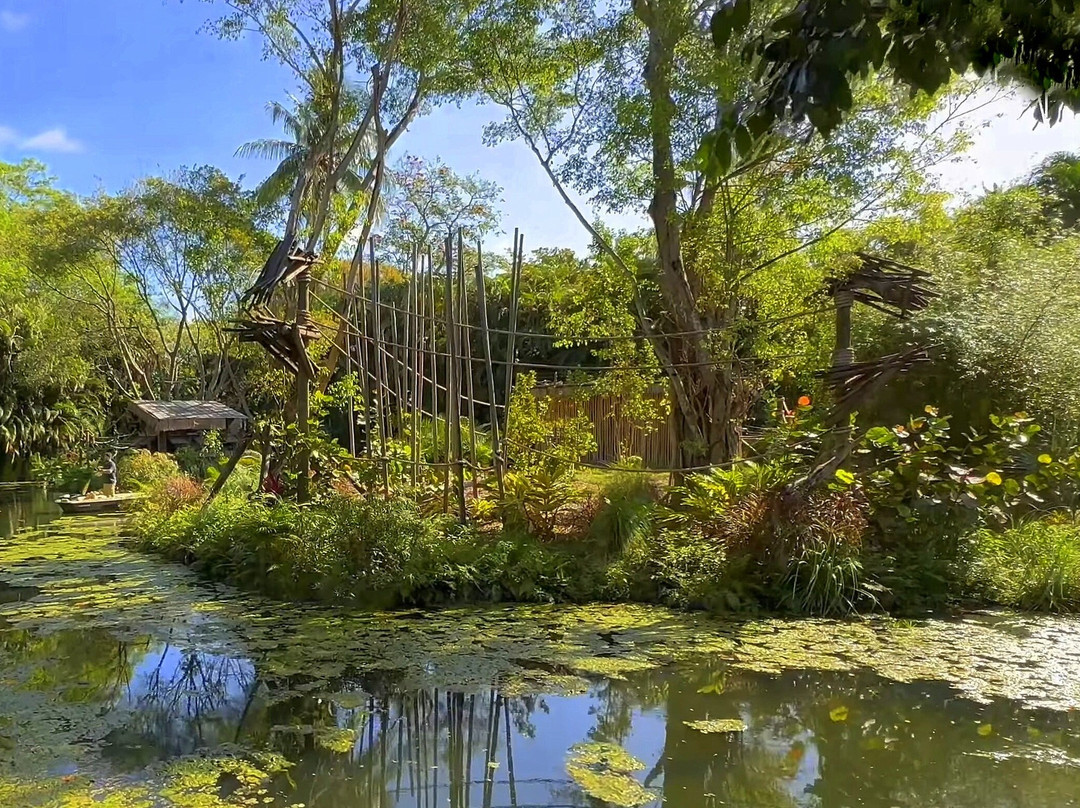 Palm Beach Zoo & Conservation Society-西棕榈滩必去景点