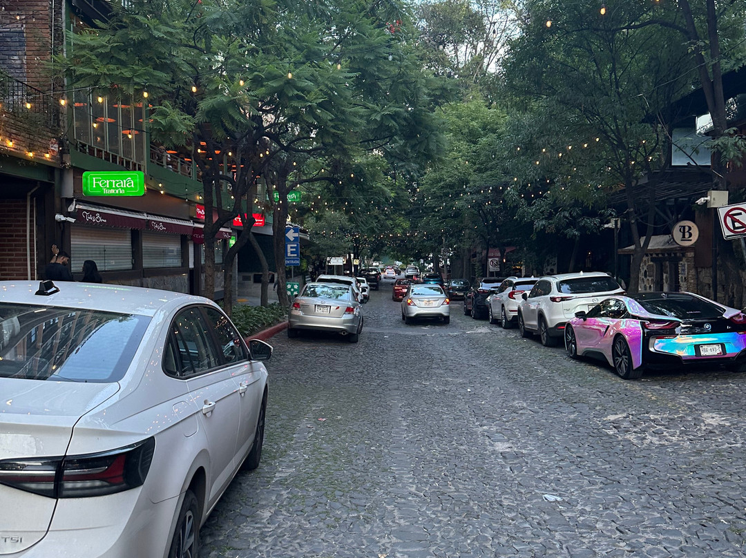 NH Collection Guadalajara Providencia主图