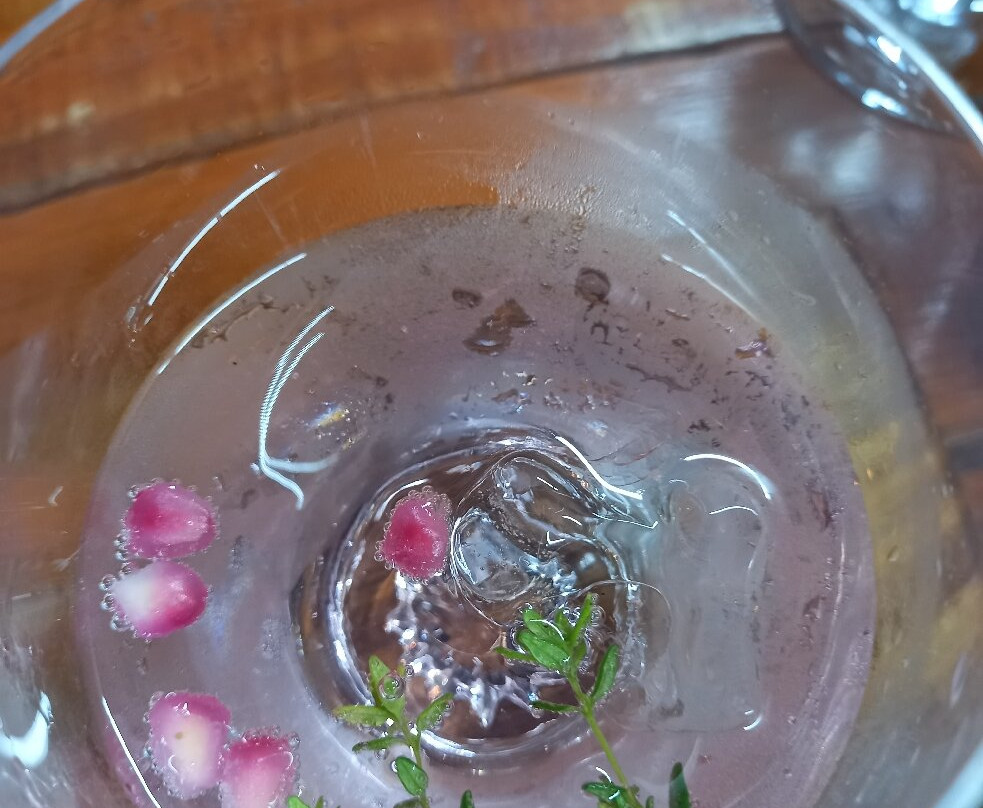 Wright's Gin-Yzerfontein必去景点