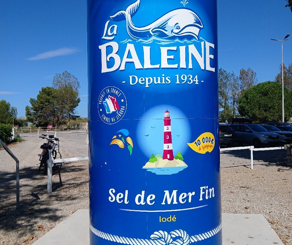 Salin d'Aigues-Mortes-艾格莫尔特必去景点