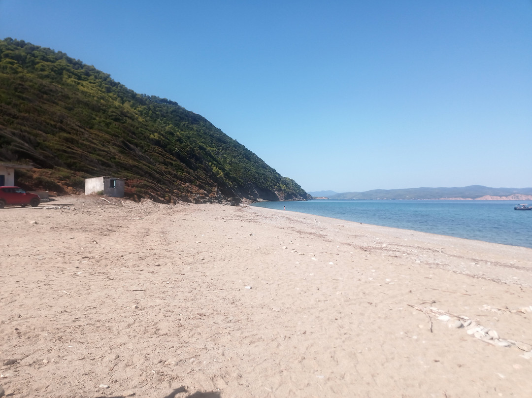Ligaries Beach-斯亚索斯必去景点