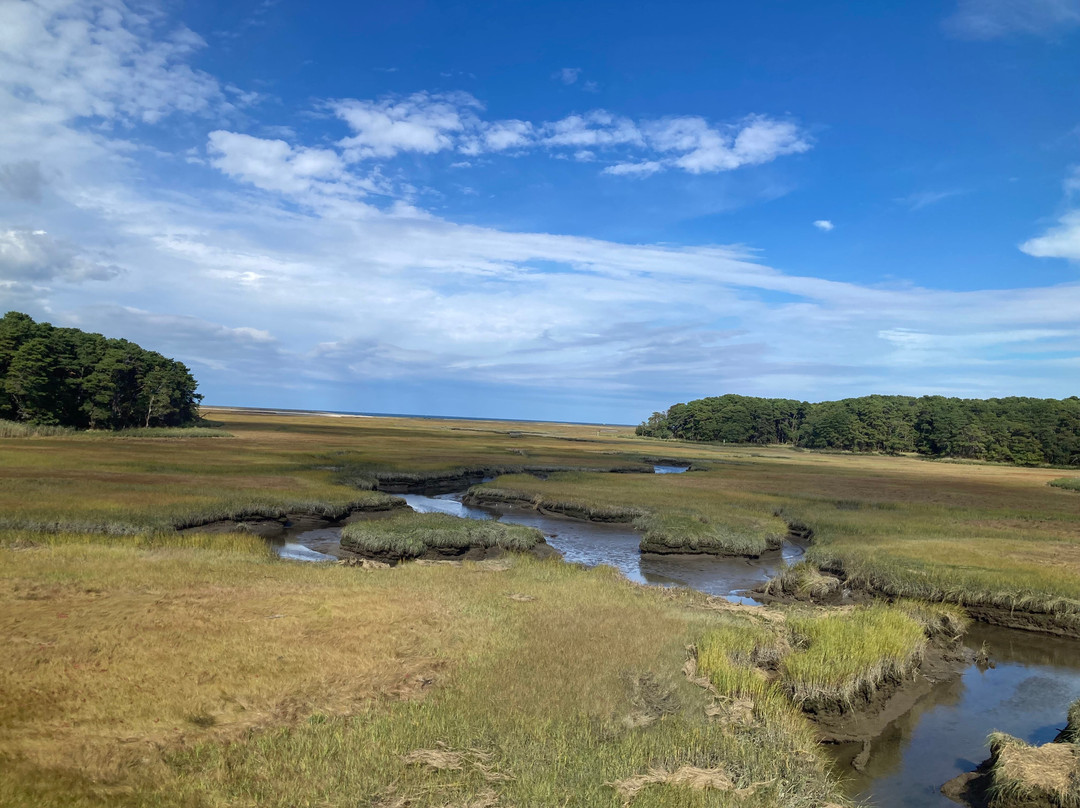 Cape Cod Central Railroad-海恩尼斯必去景点