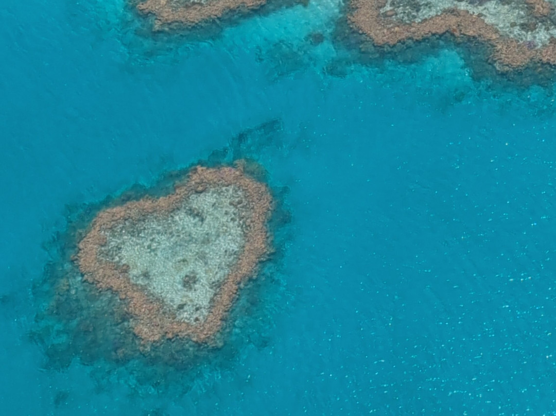 Fly Australia Charter-悉尼必去景点