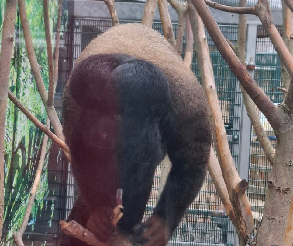Wolds Wildlife Park-Horncastle必去景点