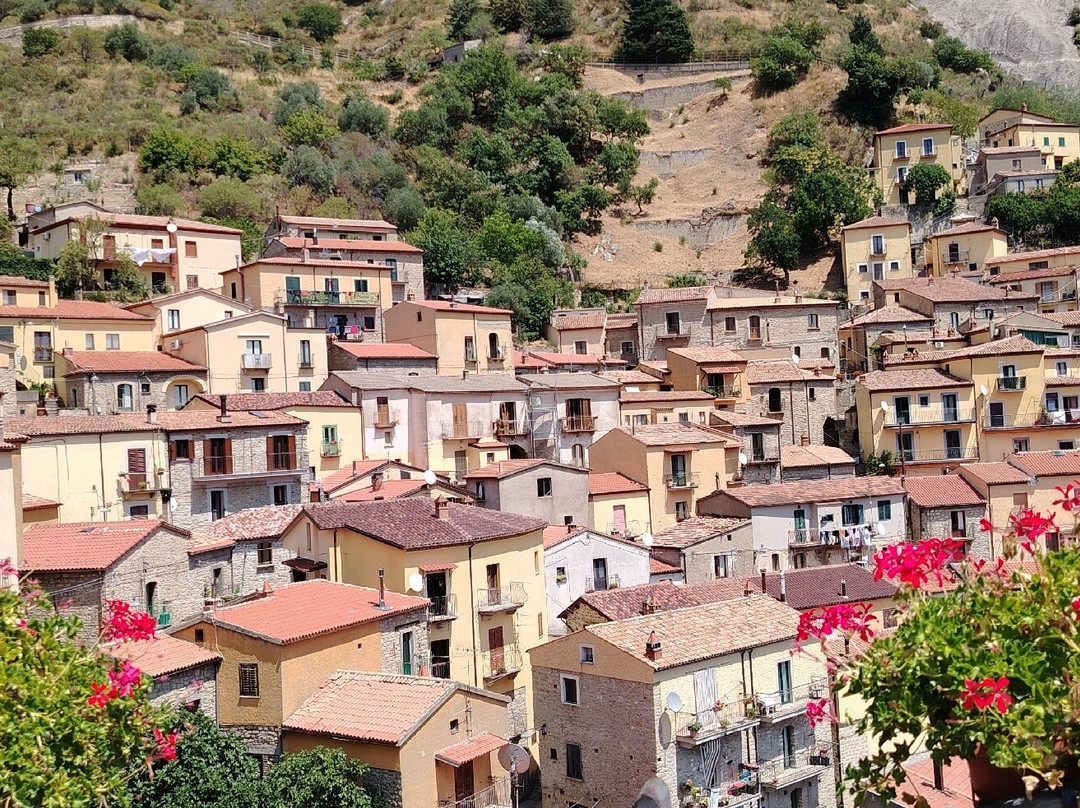 Parco Regionale di Gallipoli Cognato - Piccole Dolomiti Lucane-Accettura必去景点