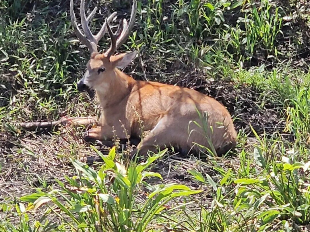 Fazenda San Francisco-米兰达必去景点
