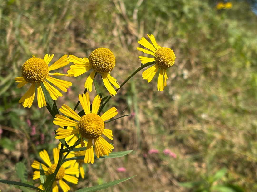Nachand Canoe and Kayak Rentals-Prospect必去景点