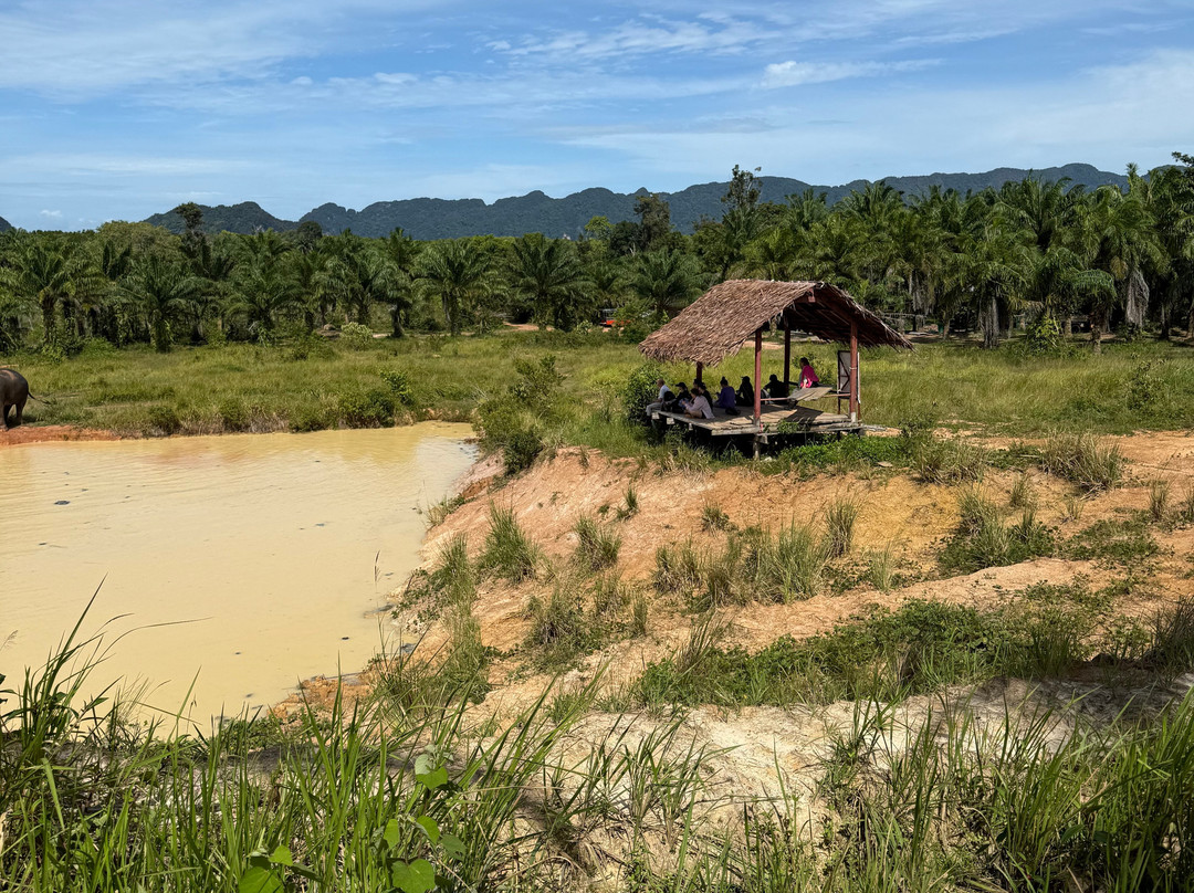 Following Giants - Krabi-Khlong Hin必去景点