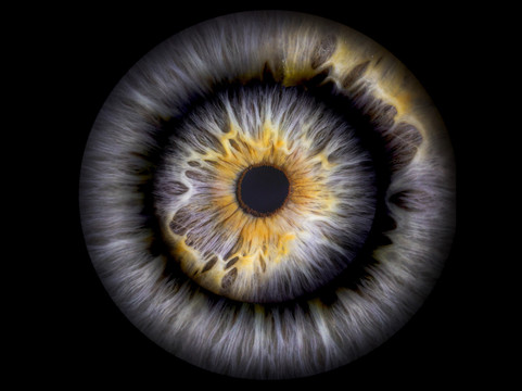 Vizualeyes Leeds-利兹必去景点