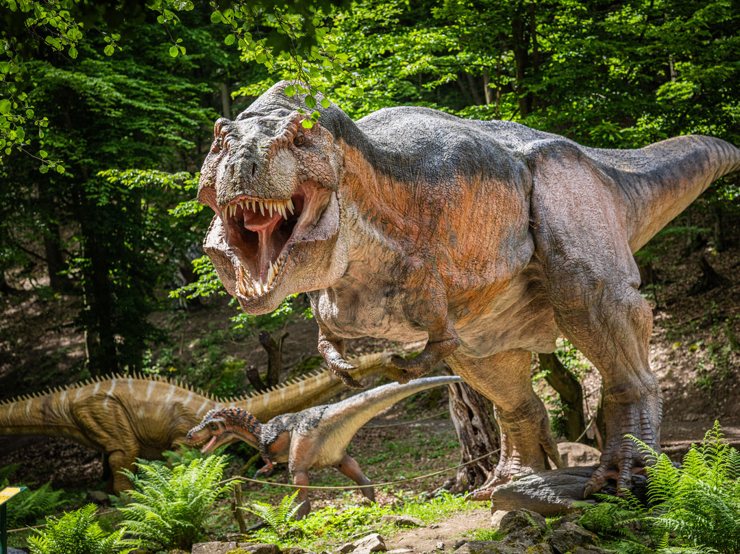 DinoPark Košice-科希策必去景点