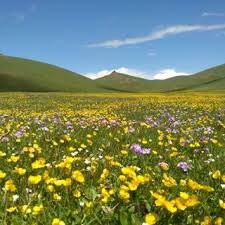Kyrgyz Horse Travel Company-Kyzart必去景点