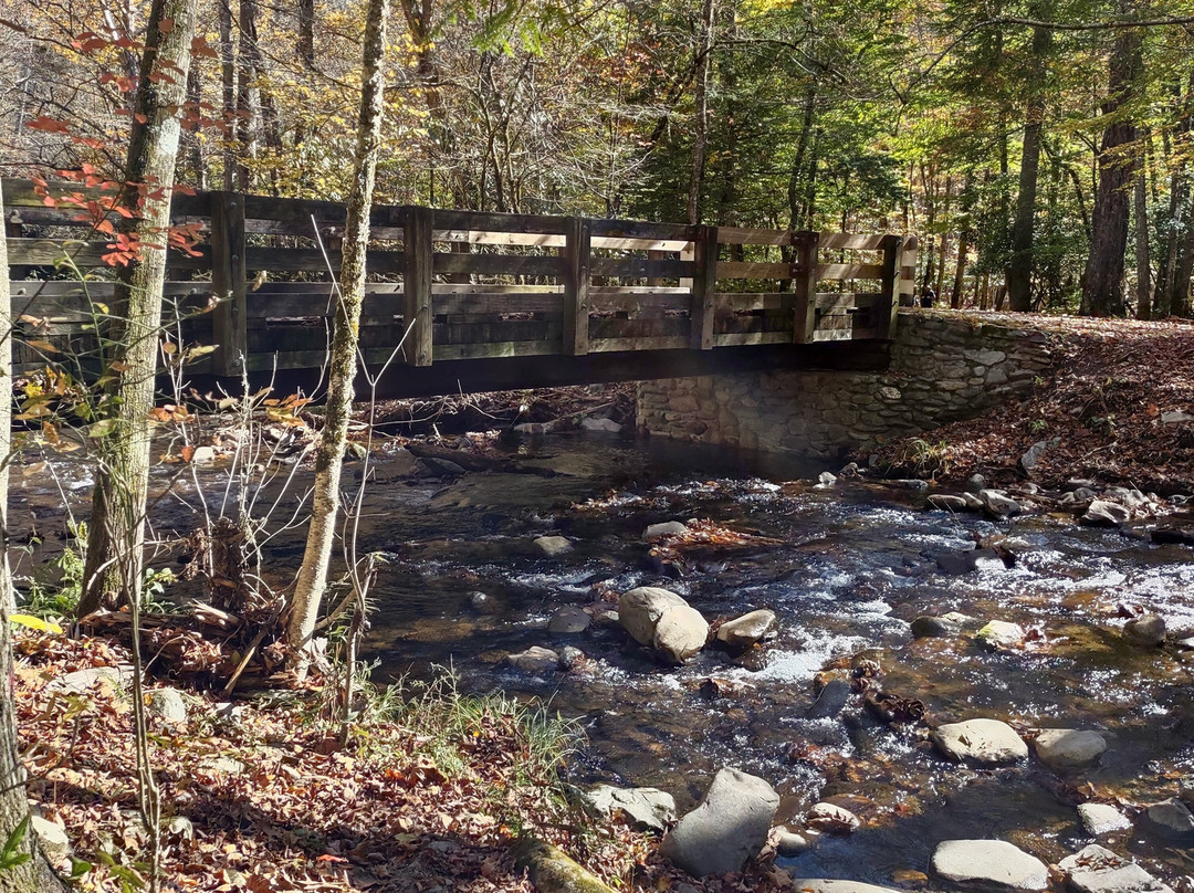 Cataloochee Valley-大雾山国家公园必去景点