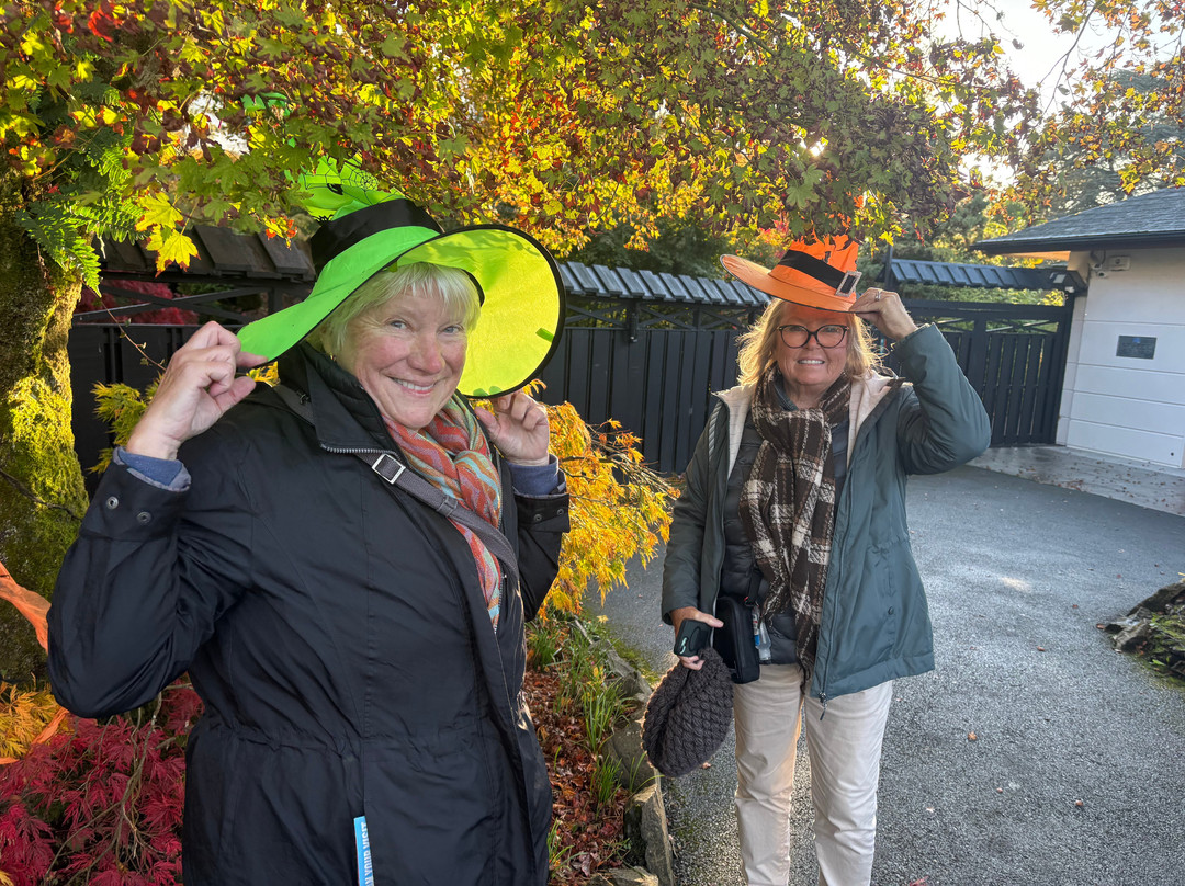 Elite Tours Ireland-利默里克必去景点