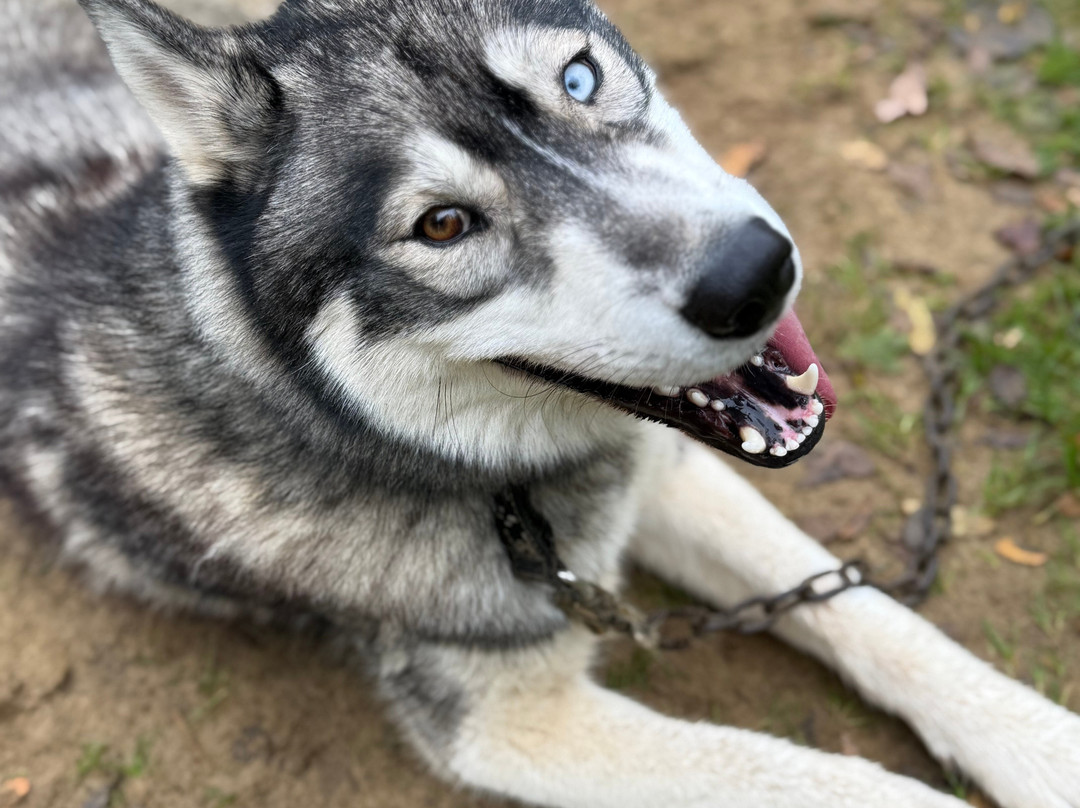 Latitude Nordique-Braslou必去景点