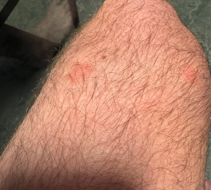 Brunnholl Country Guesthouse主图