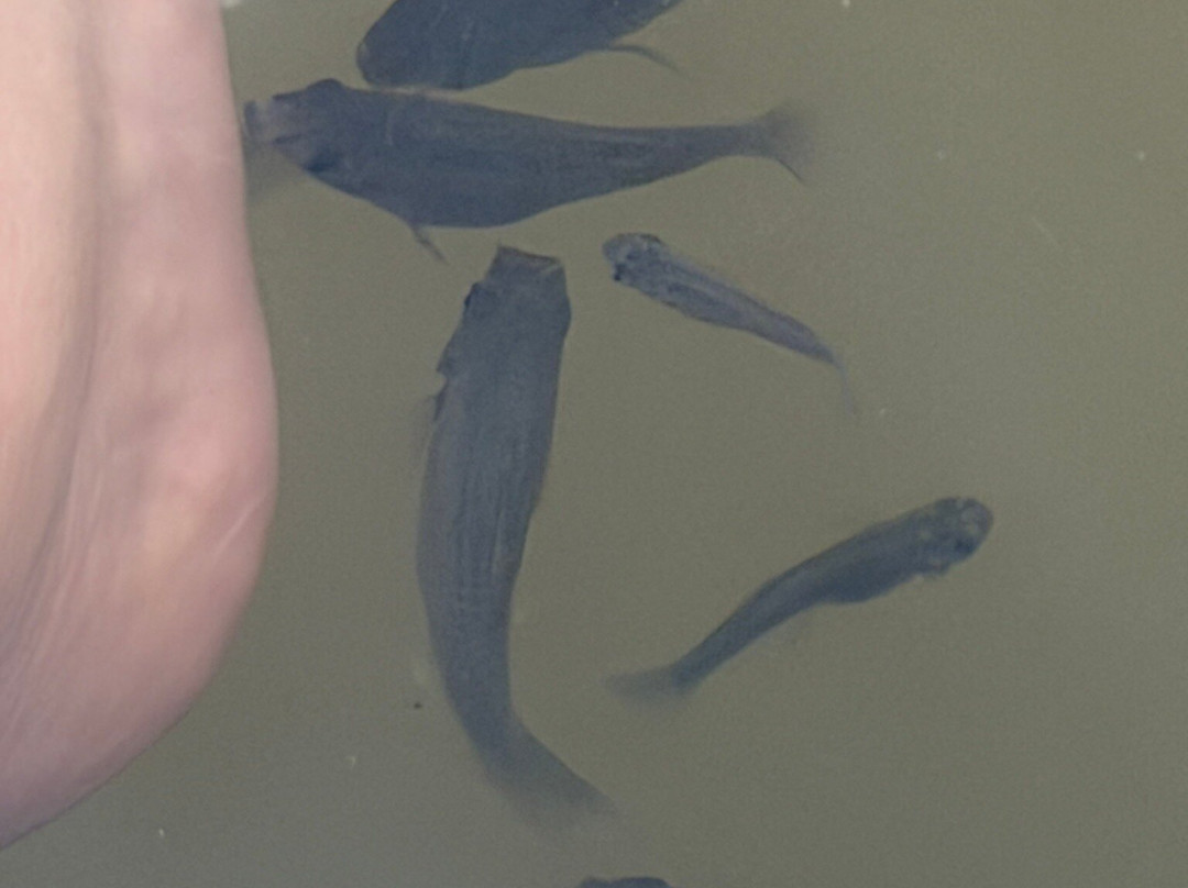 Crane Point Museum & Nature Center-马拉松必去景点