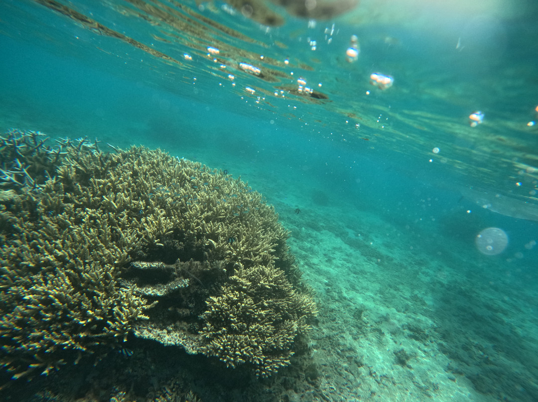 Kayak Transparent Reunion-拉萨里讷雷班必去景点