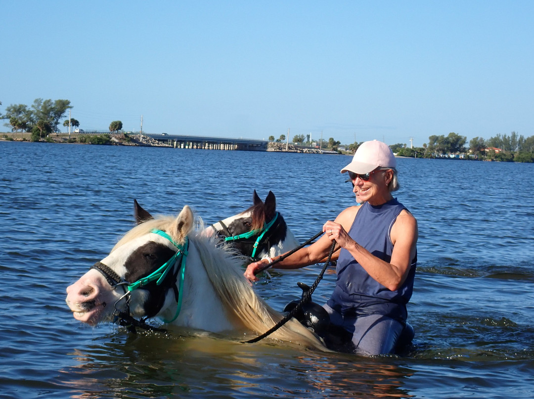 C Ponies Beach Horseback Rides-布雷登顿必去景点