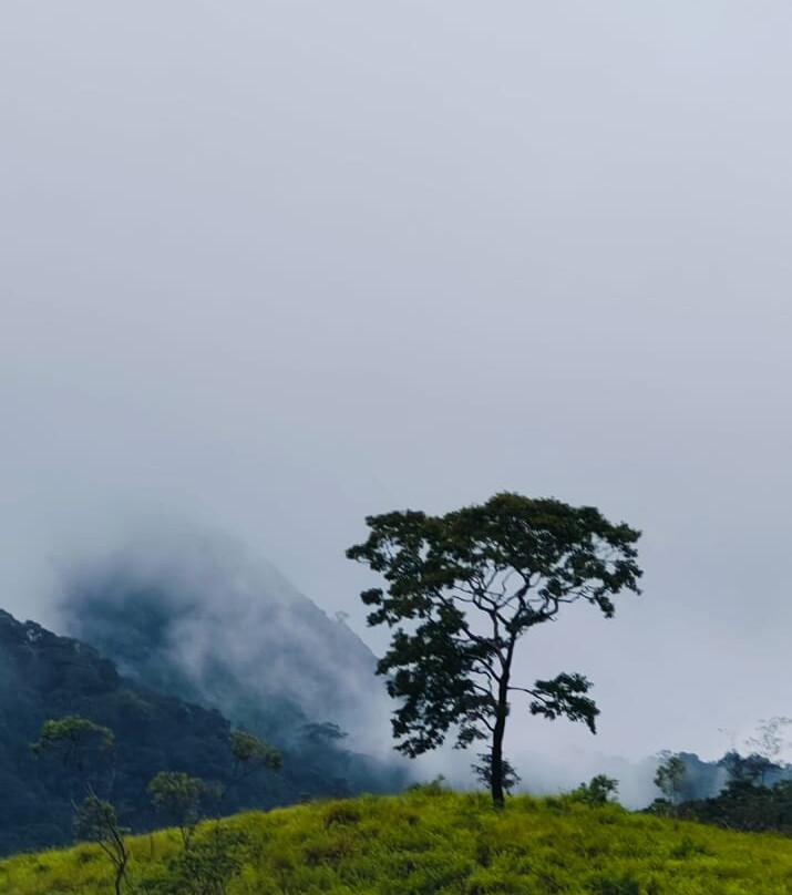 Joshua Tours-Irinjalakuda必去景点