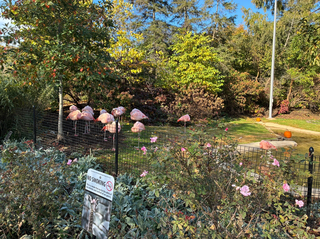 克利夫兰动物园-克利夫兰必去景点