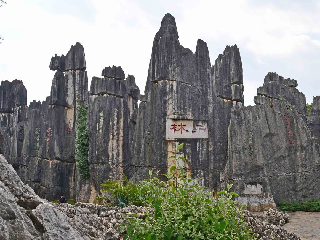 Yunnan  Tour