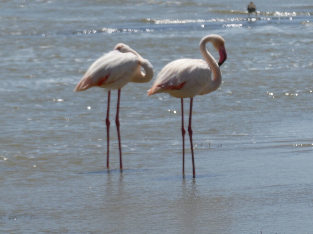 The Tanzanite Experience-阿鲁沙必去景点