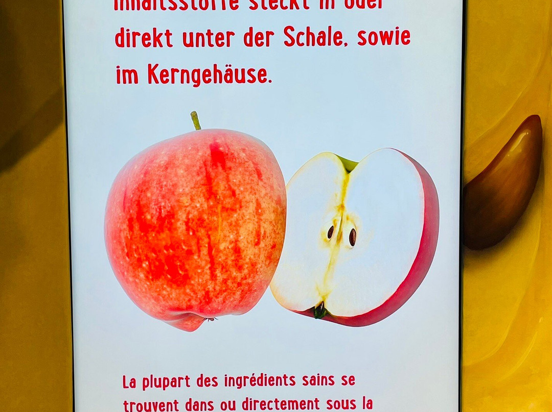 Ramseier Erlebniswelt-苏尔塞必去景点