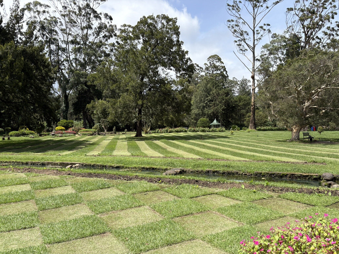 维多利亚公园-奴娃拉伊利雅必去景点