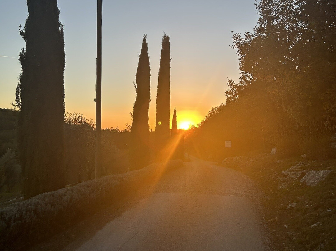 Borgo Vescine - Relais Del Chianti主图