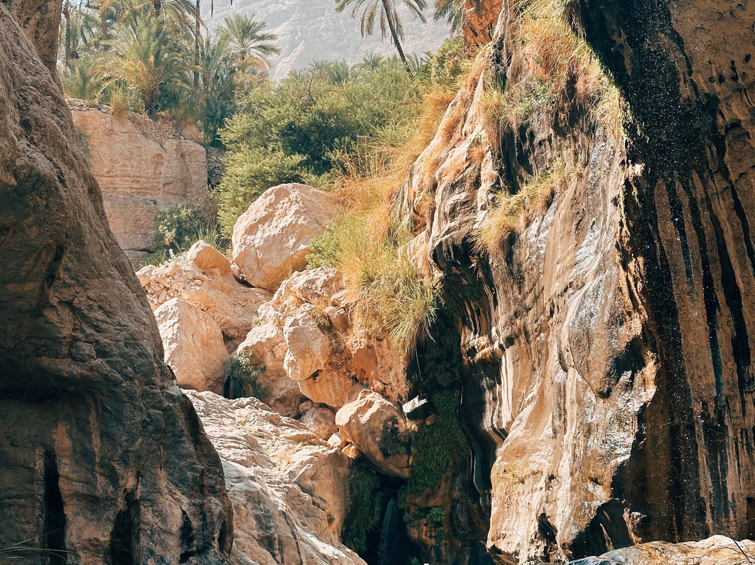 Shab Tours-马斯喀特必去景点