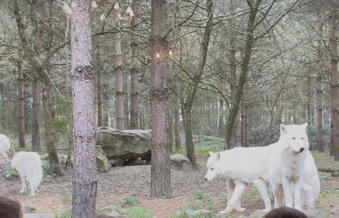 Legendia Parc-Frossay必去景点