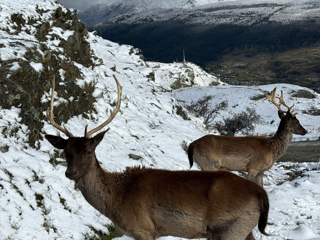 Deer Park Heights-皇后镇必去景点