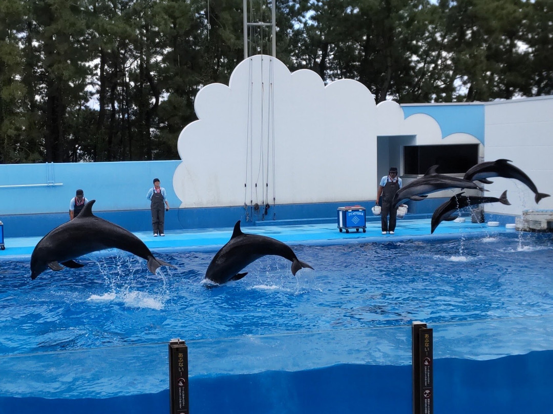 Marinepia Nihonkai-新泻市必去景点