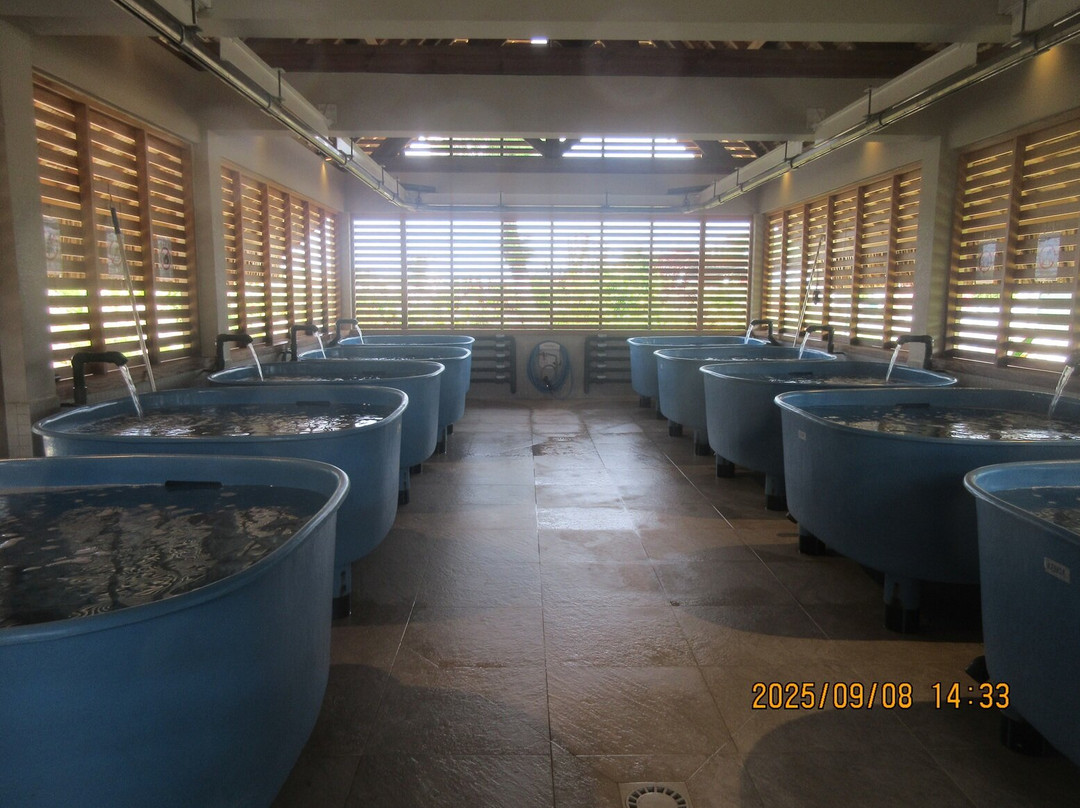 Eco Center Bora Bora-波拉波拉岛必去景点