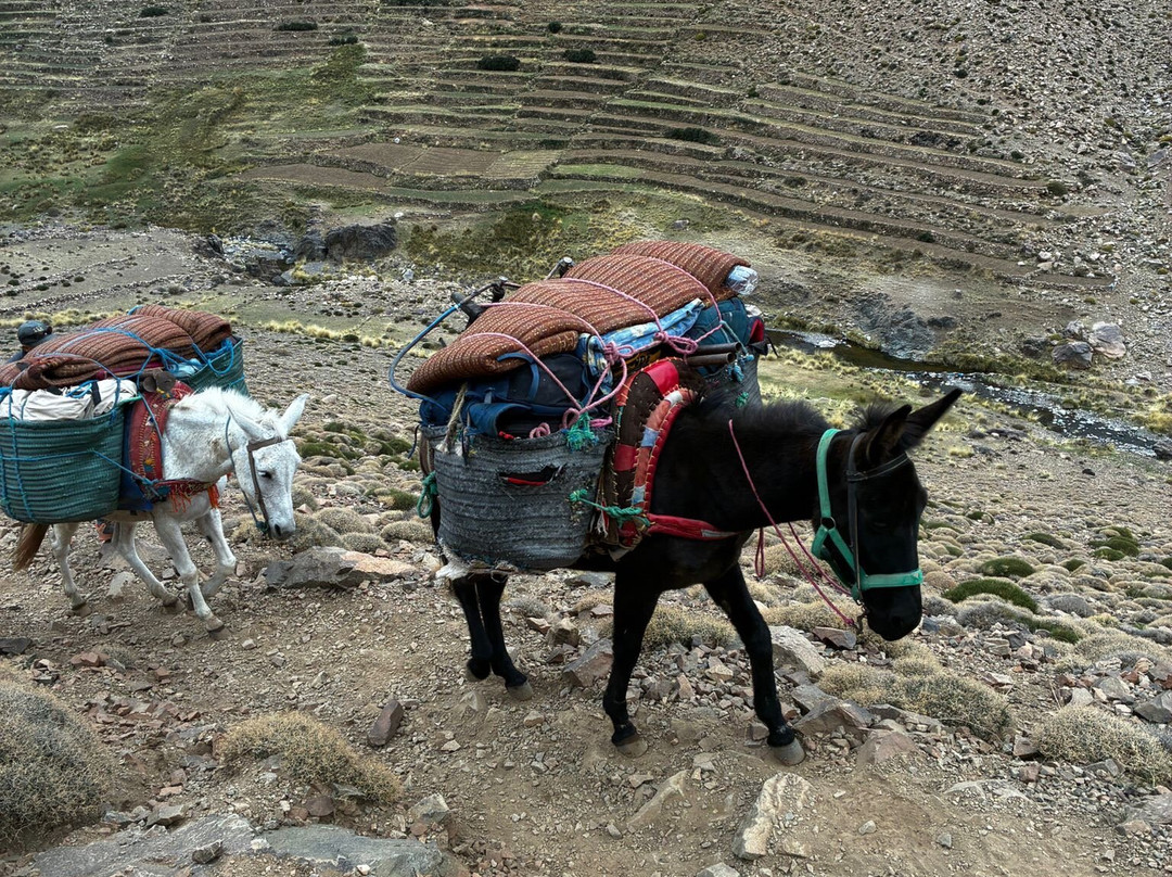 Trekking Holidays Morocco-马拉喀什必去景点