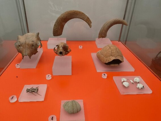 Museo dell'Abruzzo Bizantino e Altomedievale-Crecchio必去景点