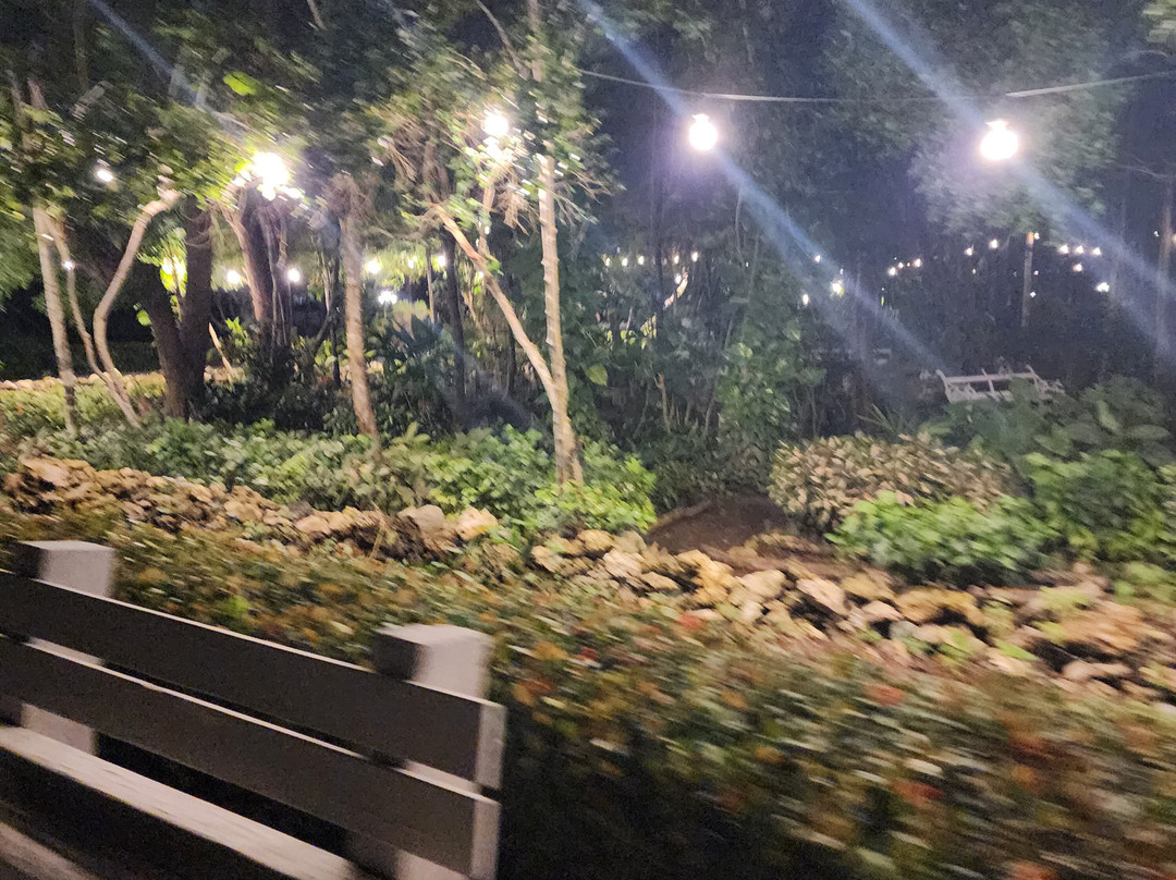 Playa Pesquero-奥尔金必去景点