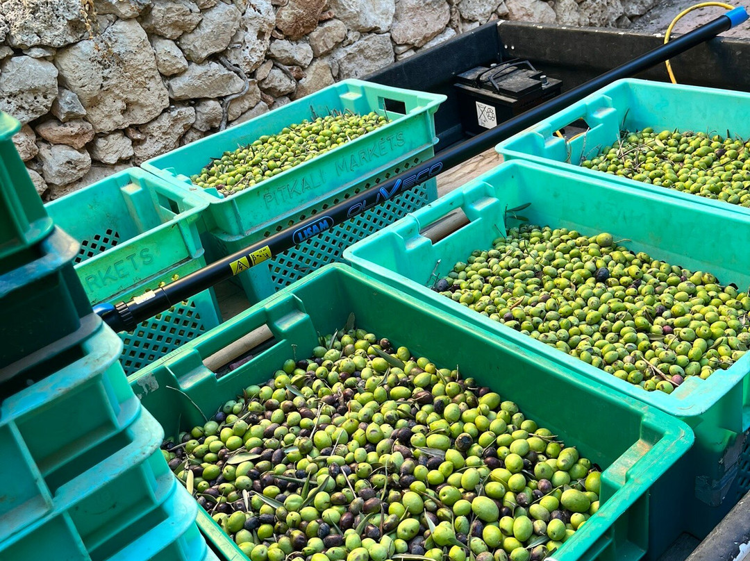 枫树农场住宿加早餐旅馆主图