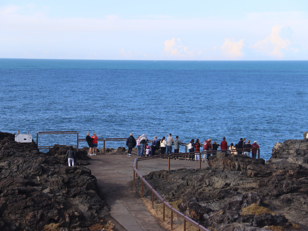 Kiama Lighthouse-凯马必去景点