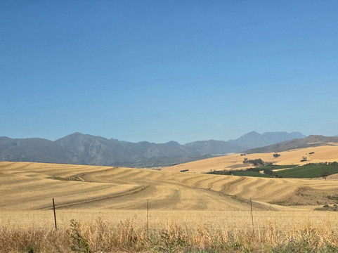 African King Tours-斯泰伦博斯必去景点